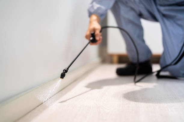 Rodent Entry Point Assessment in Contra Costa Centre