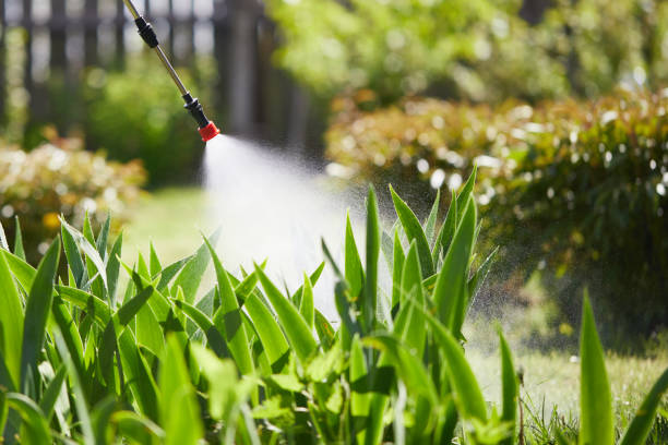 Tamper-Resistant Bait Stations for Rodents in Contra Costa Centre