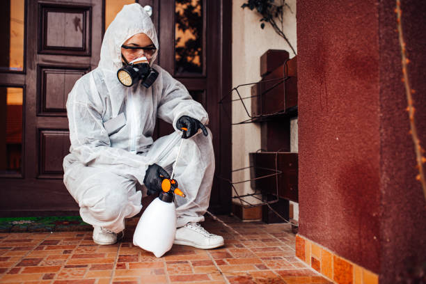 Attic and Crawl Space Rodent Treatment in Contra Costa Centre